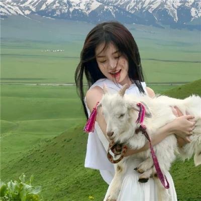 芭比姐妹与小马